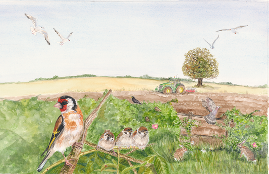 Goldfinch and Tractor - Mounted Print