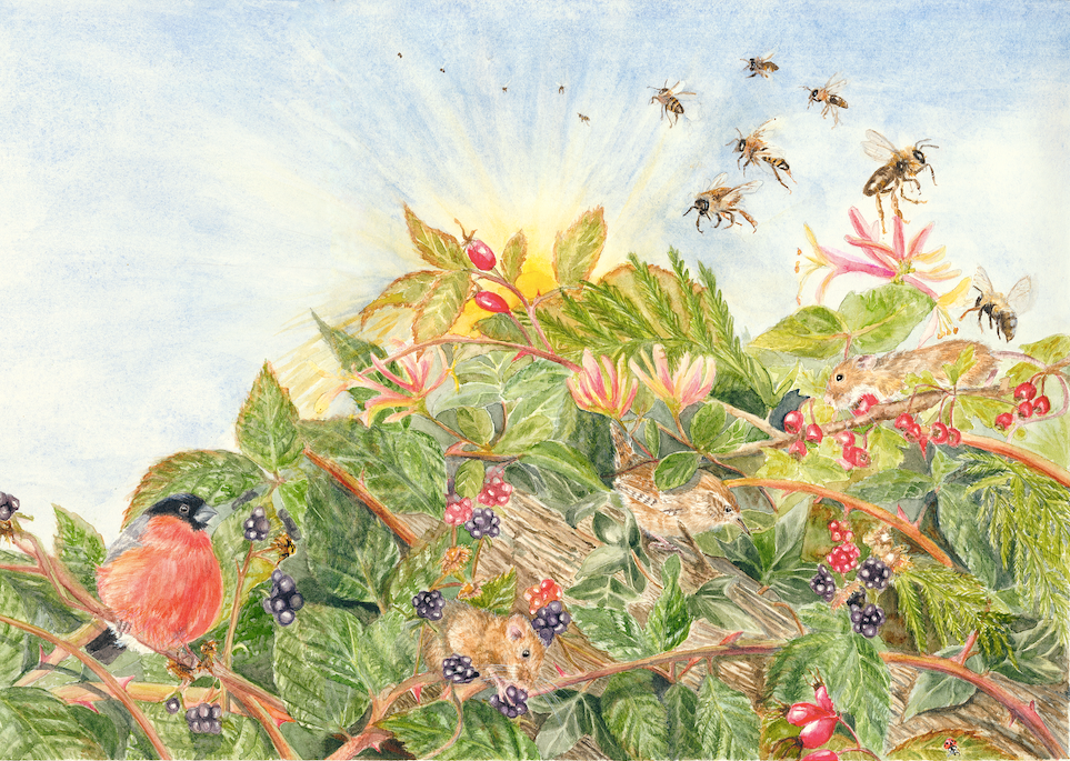 Sunshine and Bees - Mounted Print