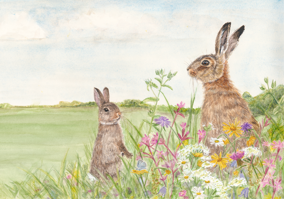 Oak Tree Rabbit The Rabbit and the Hare - Mounted Print – The Farmer and the Oak Tree