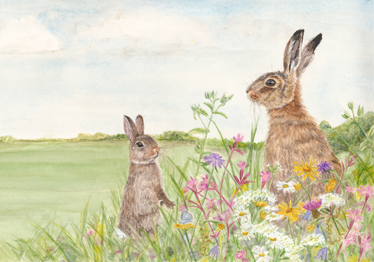 The Rabbit and the Hare - Mounted Print